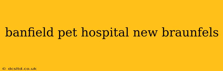banfield pet hospital new braunfels