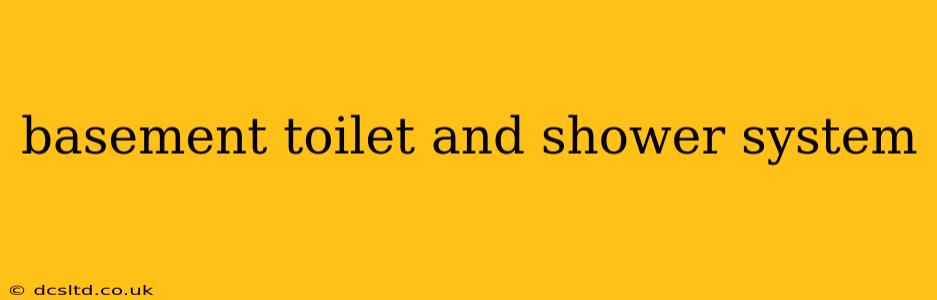 basement toilet and shower system