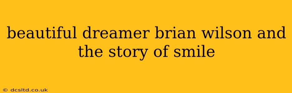 beautiful dreamer brian wilson and the story of smile