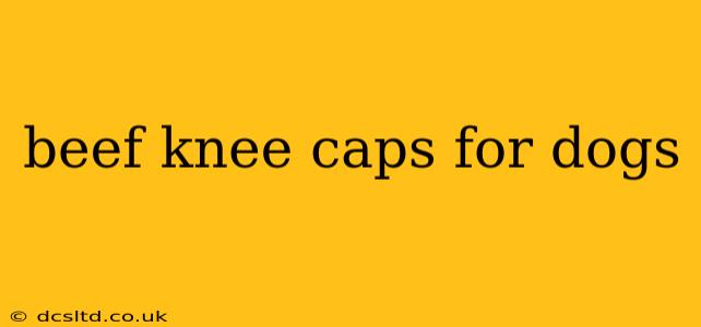 beef knee caps for dogs