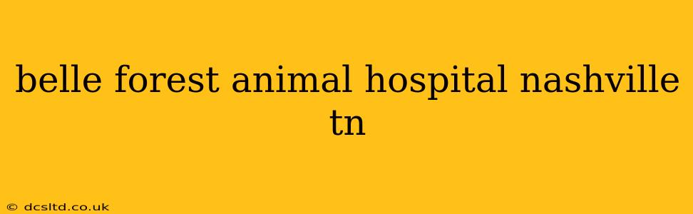 belle forest animal hospital nashville tn