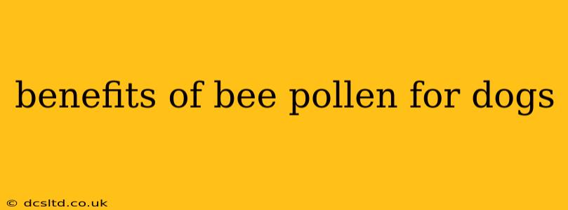 benefits of bee pollen for dogs