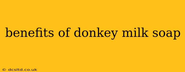 benefits of donkey milk soap