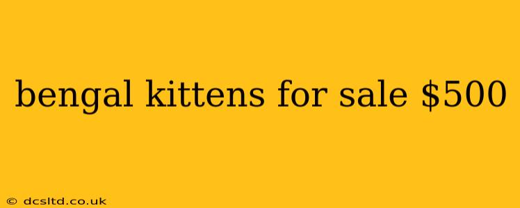 bengal kittens for sale $500