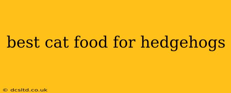 best cat food for hedgehogs