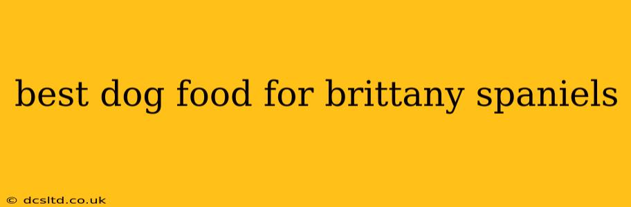 best dog food for brittany spaniels
