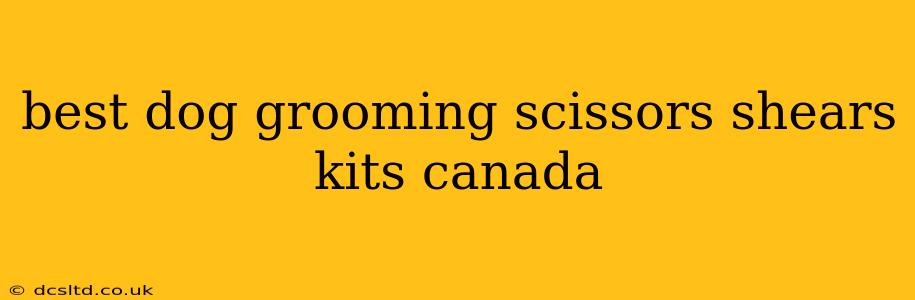 best dog grooming scissors shears kits canada