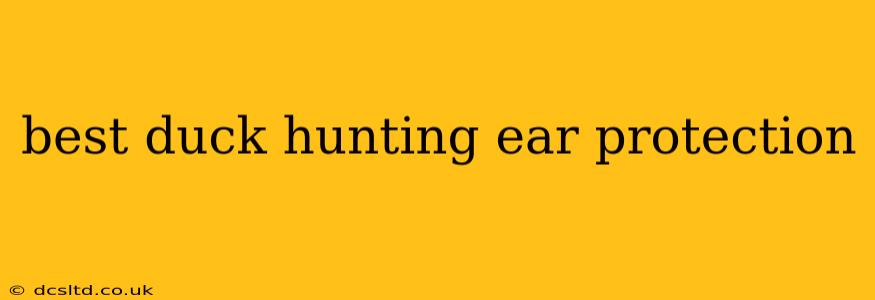 best duck hunting ear protection
