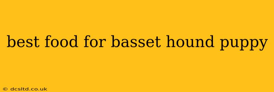 best food for basset hound puppy