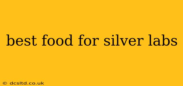 best food for silver labs