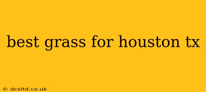 best grass for houston tx