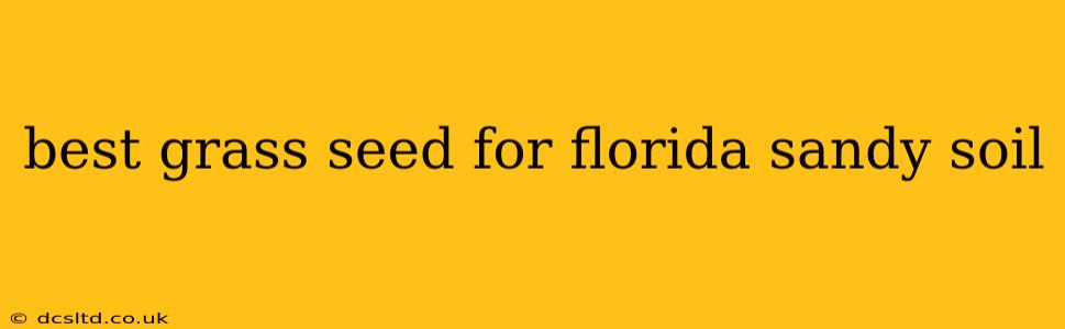 best grass seed for florida sandy soil