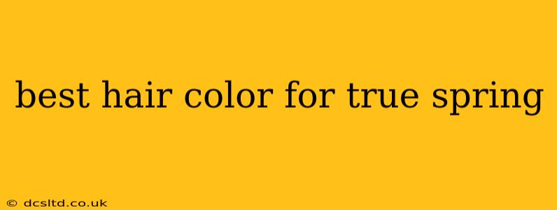 best hair color for true spring