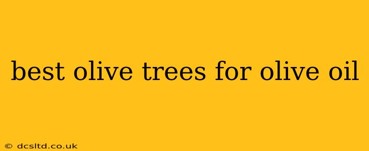 best olive trees for olive oil