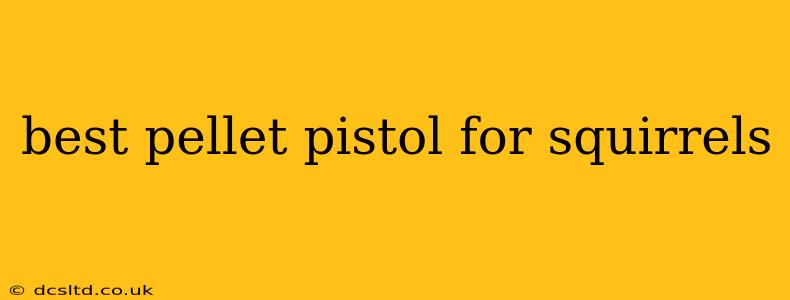 best pellet pistol for squirrels