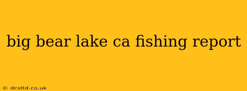 big bear lake ca fishing report