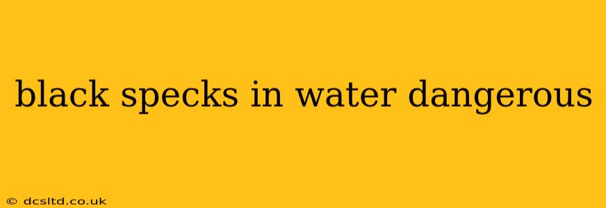black specks in water dangerous
