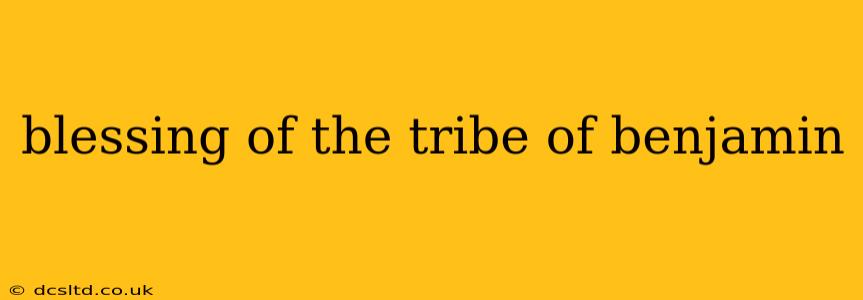 blessing of the tribe of benjamin