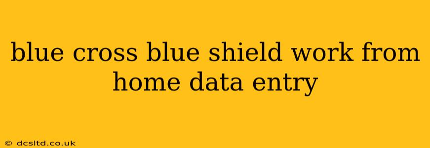 blue cross blue shield work from home data entry