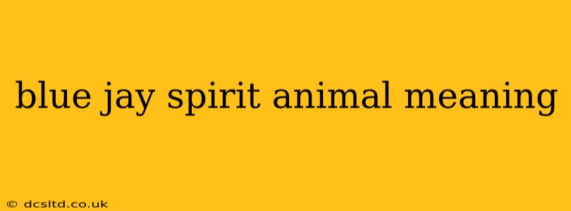 blue jay spirit animal meaning