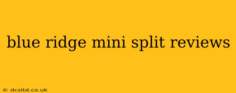 blue ridge mini split reviews