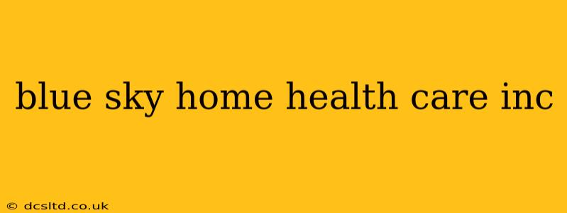 blue sky home health care inc
