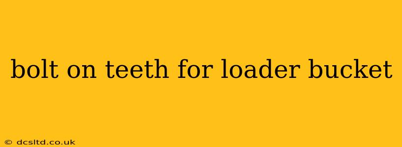 bolt on teeth for loader bucket