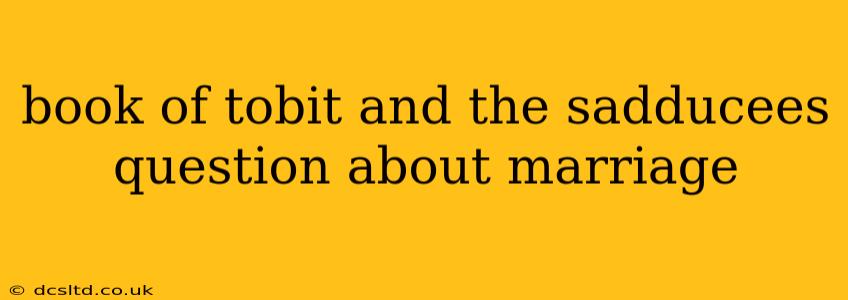 book of tobit and the sadducees question about marriage