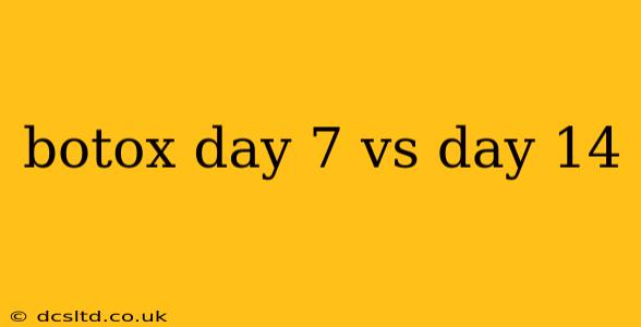 botox day 7 vs day 14