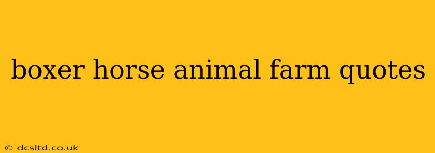 boxer horse animal farm quotes