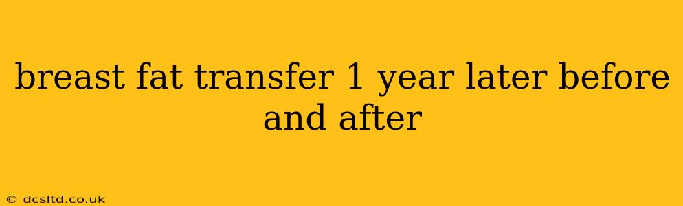 breast fat transfer 1 year later before and after