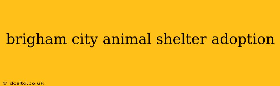 brigham city animal shelter adoption