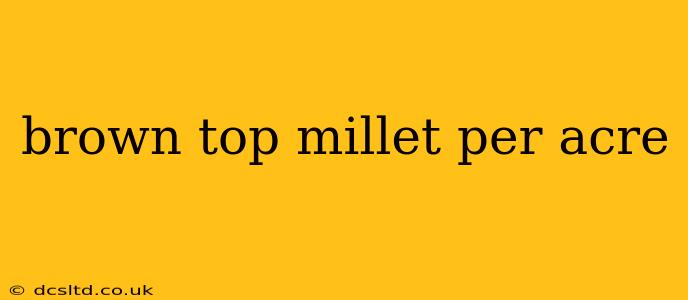 brown top millet per acre