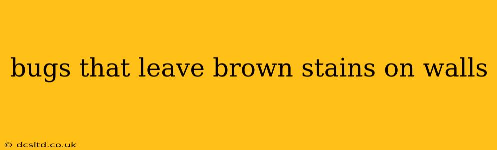 bugs that leave brown stains on walls