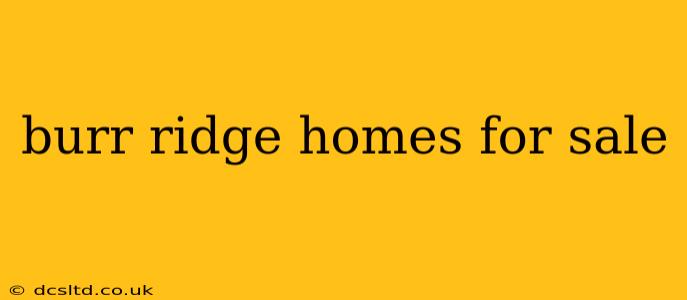 burr ridge homes for sale