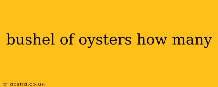 bushel of oysters how many