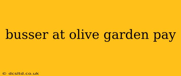 busser at olive garden pay