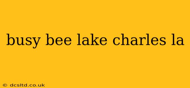 busy bee lake charles la