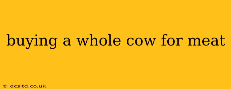 buying a whole cow for meat