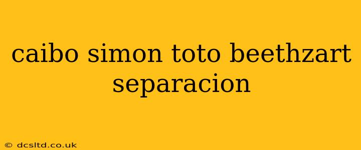 caibo simon toto beethzart separacion