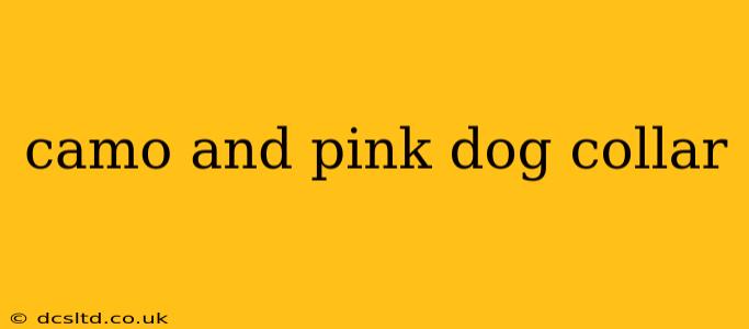 camo and pink dog collar