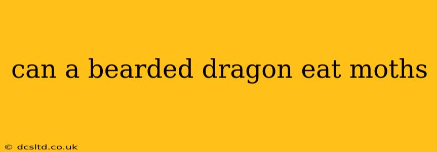 can a bearded dragon eat moths