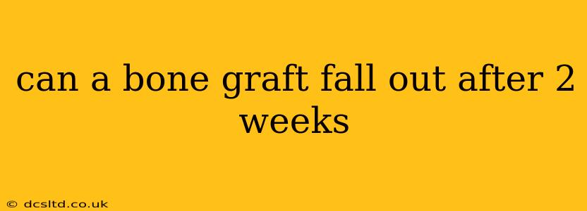 can a bone graft fall out after 2 weeks