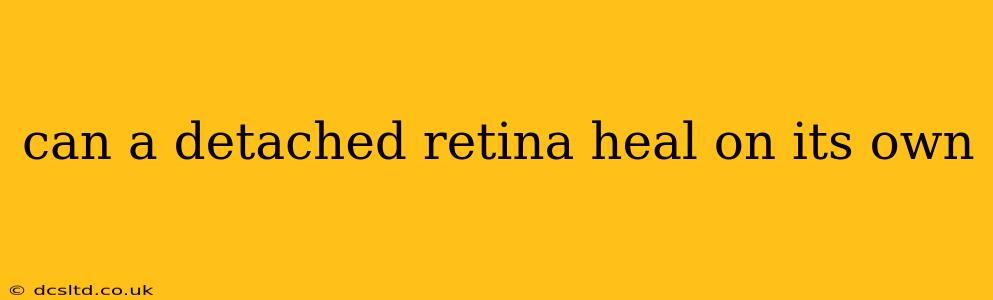 can a detached retina heal on its own