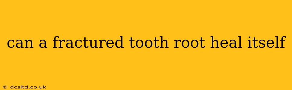 can a fractured tooth root heal itself