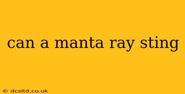 can a manta ray sting
