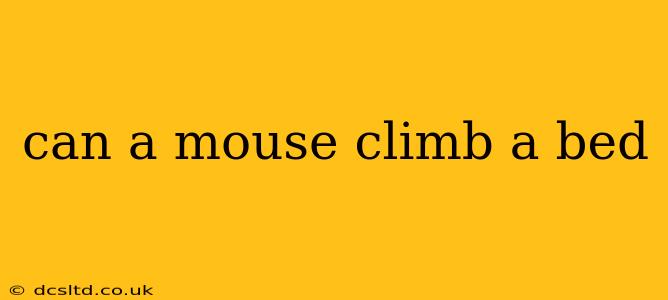 can a mouse climb a bed