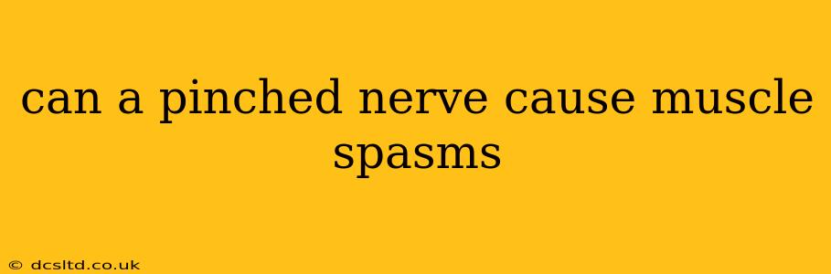 can a pinched nerve cause muscle spasms