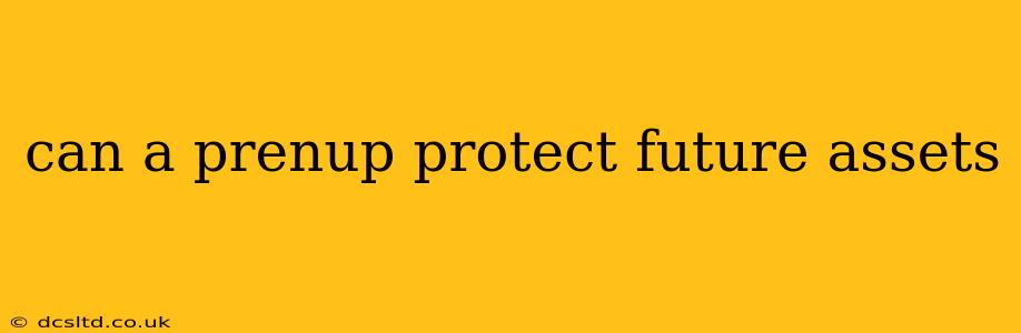 can a prenup protect future assets