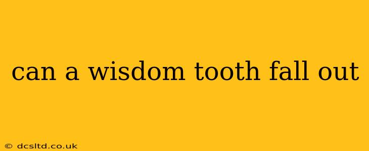 can a wisdom tooth fall out